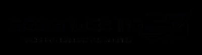Logo de Design Web IRG