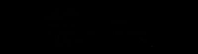 Logo de STUNA